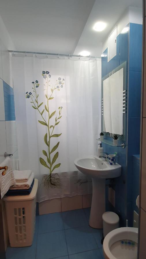 Apartament Cosbuc Бая-Маре Экстерьер фото